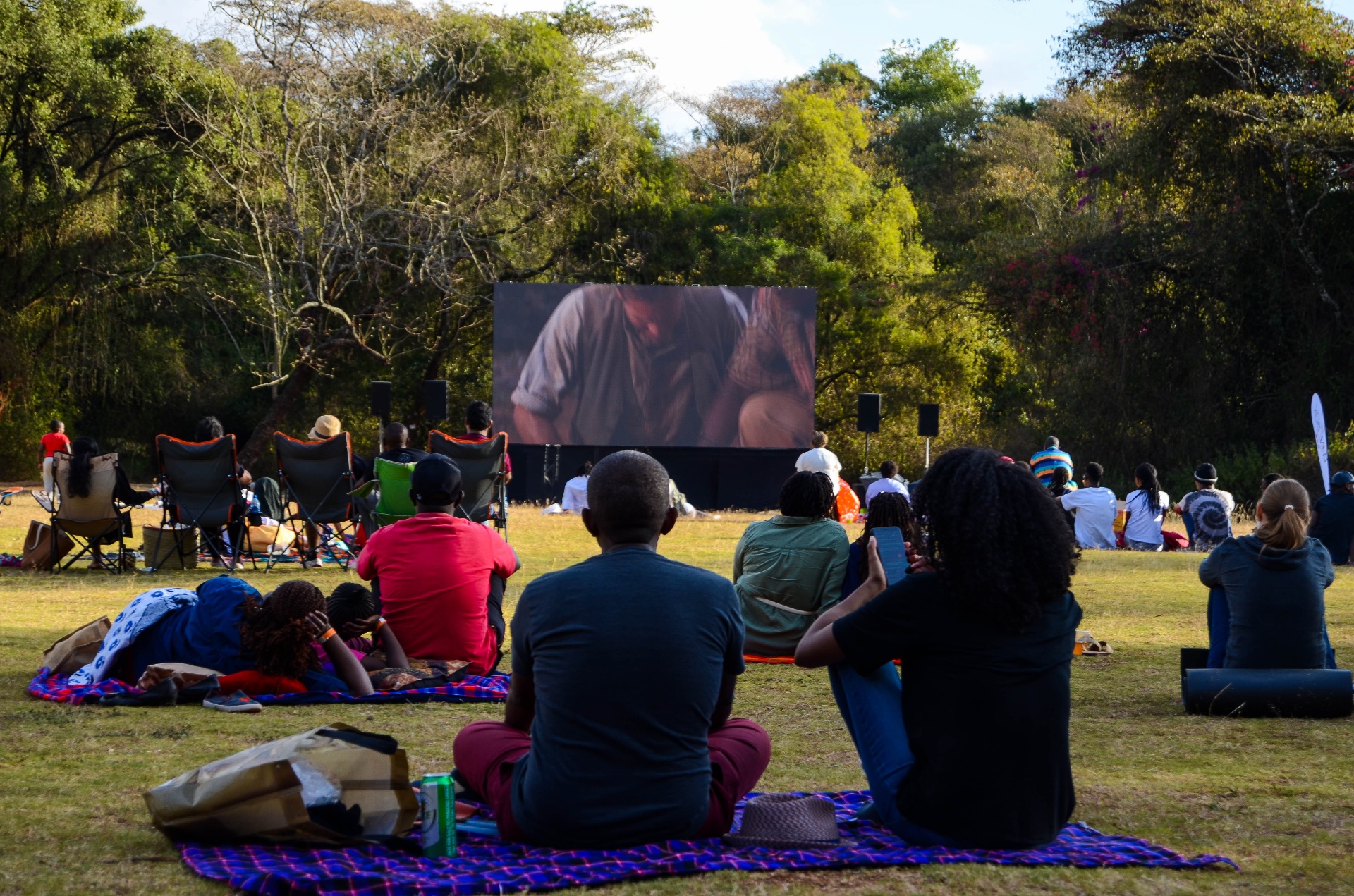 Outdoor Movie Screening — Forest Edge Premiere